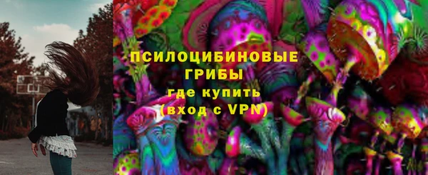 прущий лед Осинники