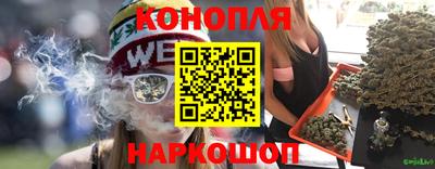 гашик Абинск