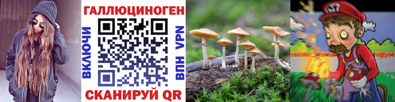 блэк спрут ссылка  Избербаш  Галлюциногенные грибы Psilocybe 