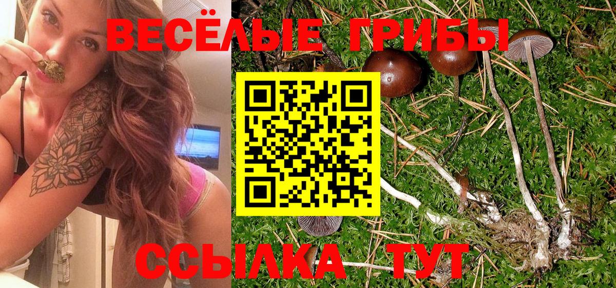 Избербаш  Псилоцибиновые грибы ЛСД  Вход с VPN 