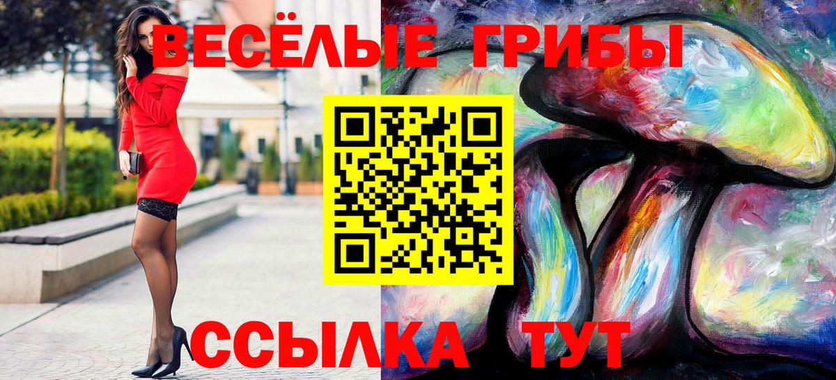 Псилоцибиновые грибы GOLDEN TEACHER  Избербаш 